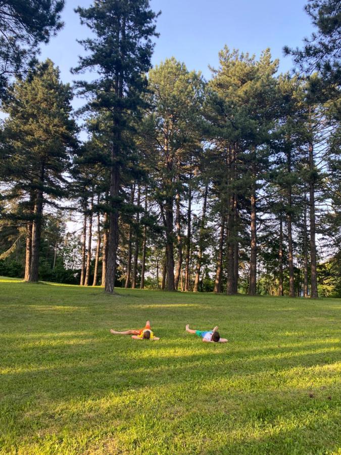 ズラティボール Brvnare Park Borovaヴィラ エクステリア 写真